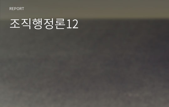 조직행정론12