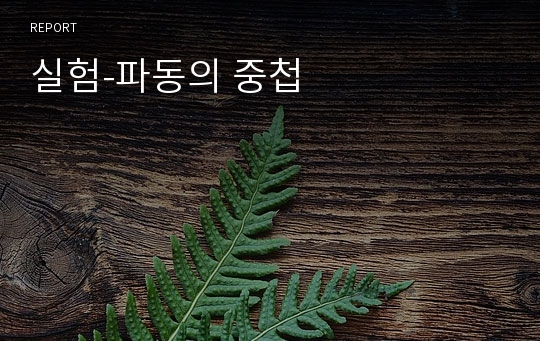 실험-파동의 중첩