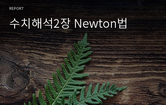 수치해석2장 Newton법