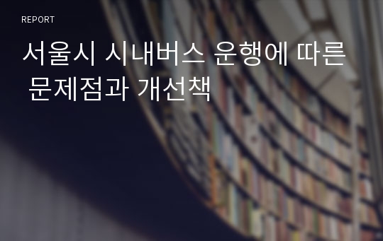 서울시 시내버스 운행에 따른 문제점과 개선책