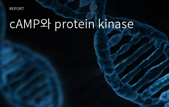 cAMP와 protein kinase