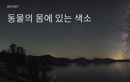 동물의 몸에 있는 색소