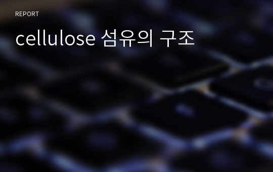 cellulose 섬유의 구조