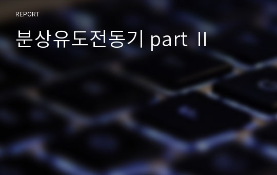 분상유도전동기 part Ⅱ