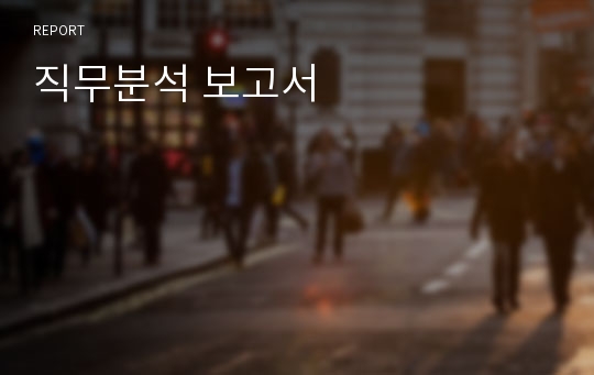 직무분석 보고서