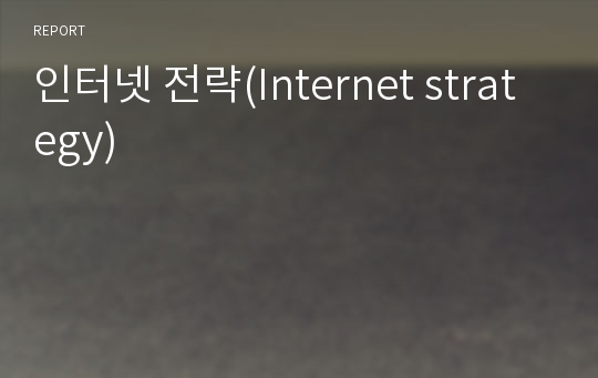 인터넷 전략(Internet strategy)