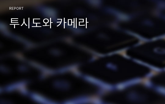 투시도와 카메라