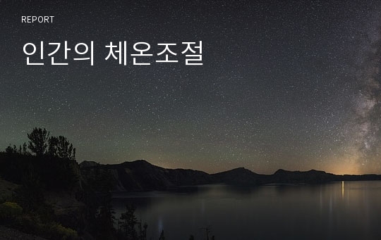 인간의 체온조절