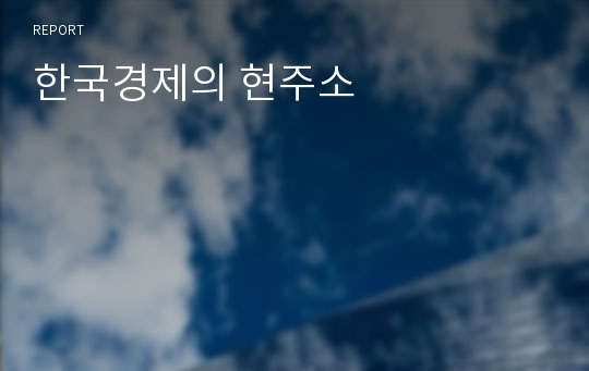 한국경제의 현주소