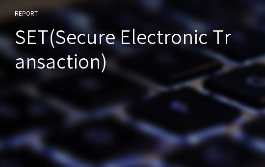 SET(Secure Electronic Transaction)