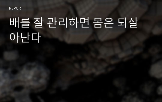 배를 잘 관리하면 몸은 되살아난다