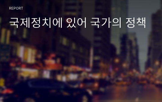 국제정치에 있어 국가의 정책