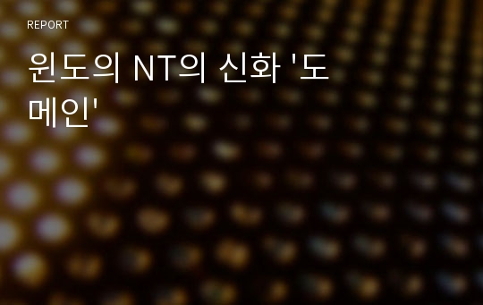 윈도의 NT의 신화 &#039;도메인&#039;