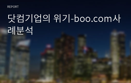 닷컴기업의 위기-boo.com사례분석
