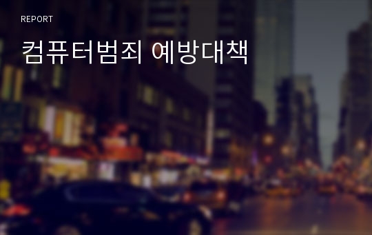 컴퓨터범죄 예방대책