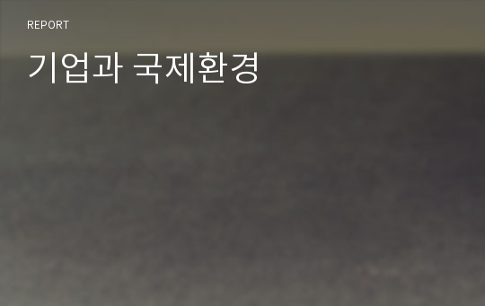 기업과 국제환경