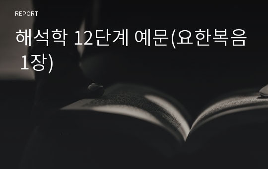 해석학 12단계 예문(요한복음 1장)