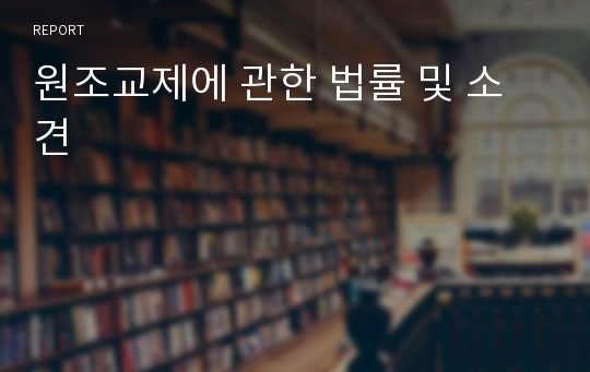 원조교제에 관한 법률 및 소견