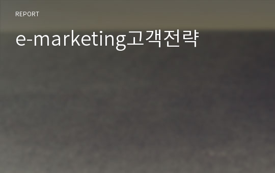 e-marketing고객전략