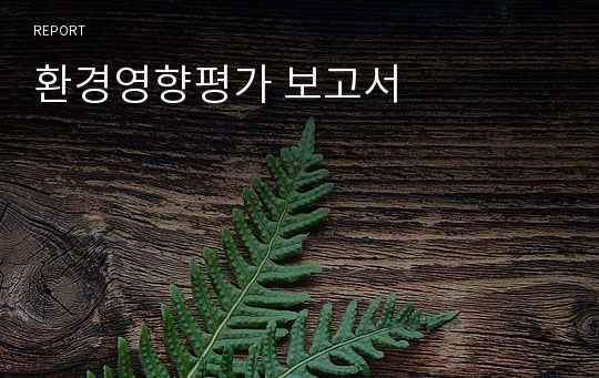 환경영향평가 보고서