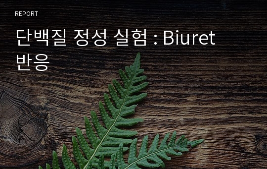 단백질 정성 실험 : Biuret 반응