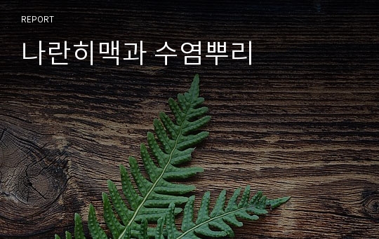 나란히맥과 수염뿌리