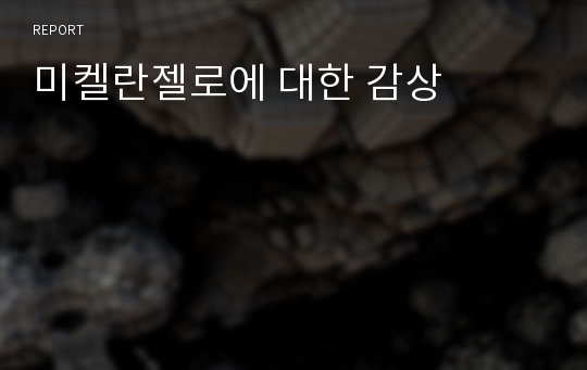 미켈란젤로에 대한 감상