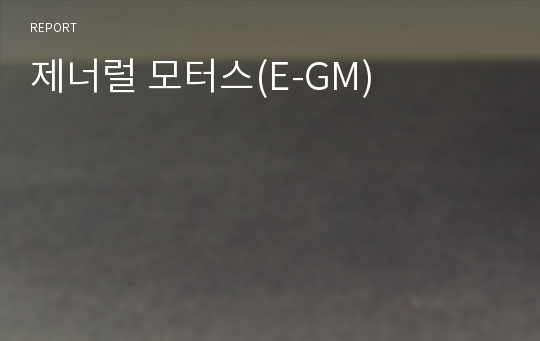 제너럴 모터스(E-GM)