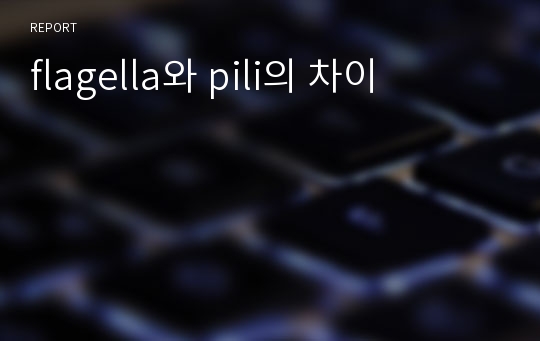 flagella와 pili의 차이