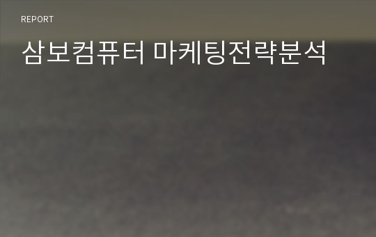 삼보컴퓨터 마케팅전략분석