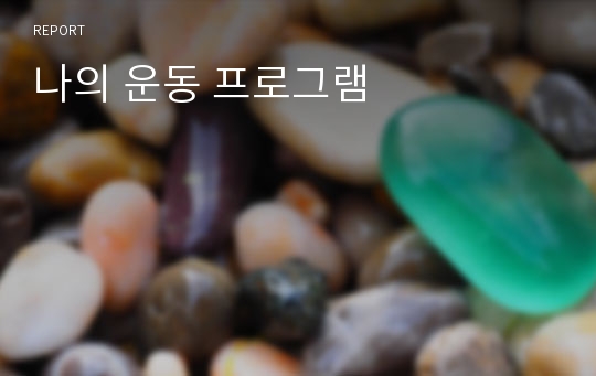 나의 운동 프로그램