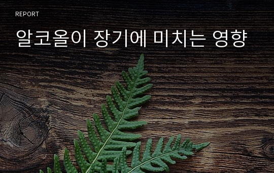 알코올이 장기에 미치는 영향