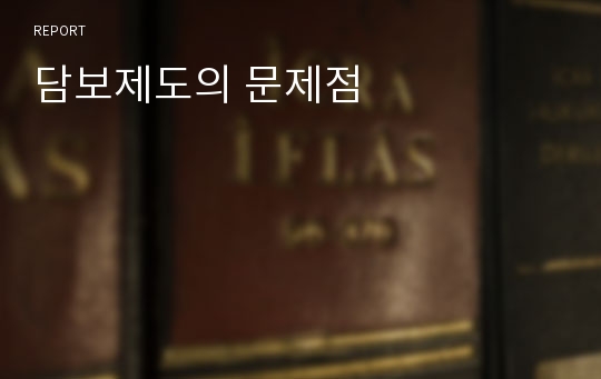 담보제도의 문제점