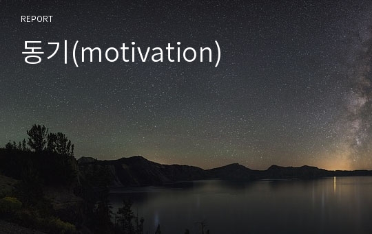 동기(motivation)