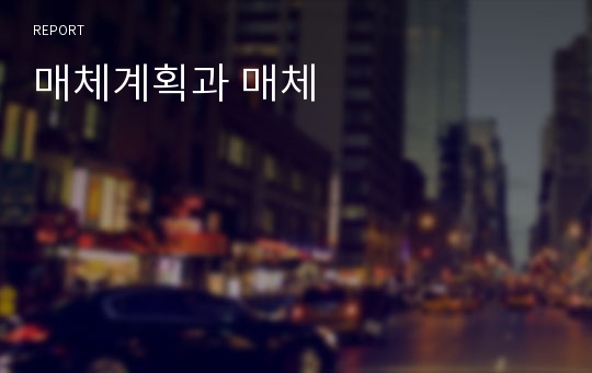 매체계획과 매체