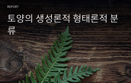 토양의 생성론적 형태론적 분류