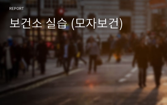 보건소 실습 (모자보건)