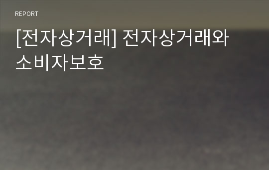 [전자상거래] 전자상거래와 소비자보호