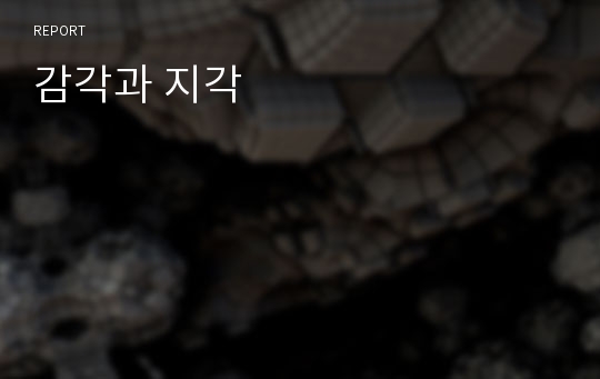 감각과 지각