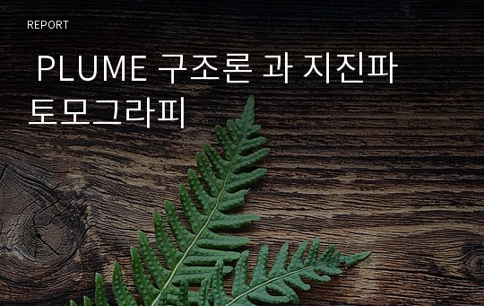  PLUME 구조론 과 지진파 토모그라피