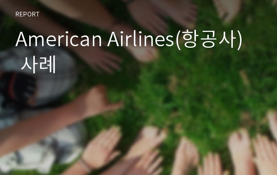 American Airlines(항공사) 사례
