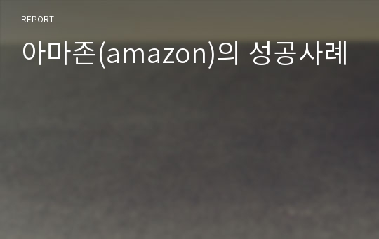 아마존(amazon)의 성공사례