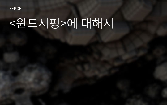 &lt;윈드서핑&gt;에 대해서