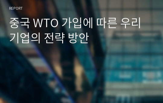 중국 WTO 가입에 따른 우리 기업의 전략 방안