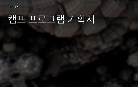 캠프 프로그램 기획서