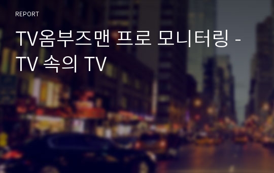 TV옴부즈맨 프로 모니터링 - TV 속의 TV