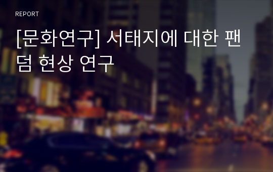 [문화연구] 서태지에 대한 팬덤 현상 연구