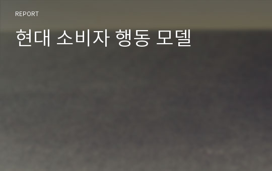 현대 소비자 행동 모델