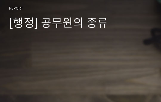 [행정] 공무원의 종류