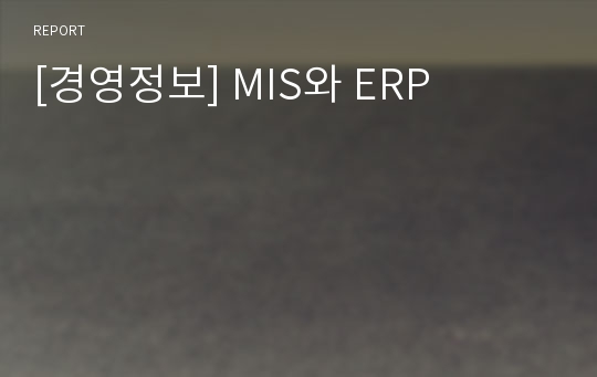 [경영정보] MIS와 ERP